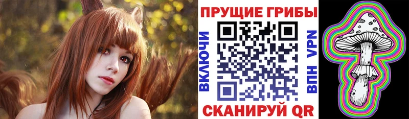 Псилоцибиновые грибы ЛСД  даркнет сайт  Обоянь 